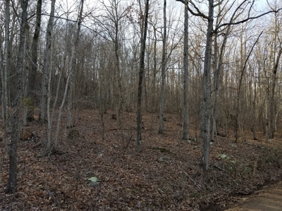 40 Acre Madison County, AR Recreation Property For Sale - image 33