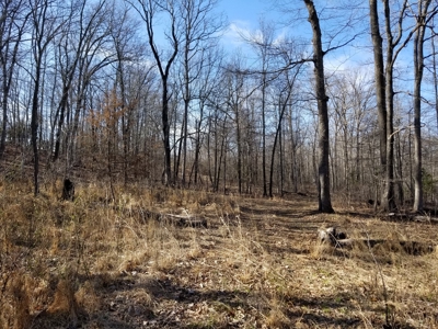 40 Acre Madison County, AR Recreation Property For Sale - image 4