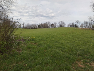 Farm for sale Wythe County, VA - image 10
