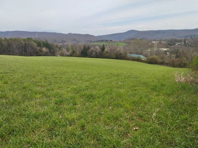 Farm for sale Wythe County, VA - image 11