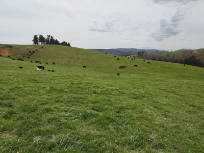 Farm for sale Wythe County, VA - image 4