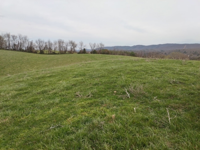 Farm for sale Wythe County, VA - image 14