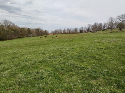 Farm for sale Wythe County, VA - image 6