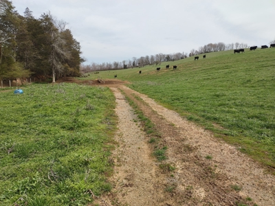 Farm for sale Wythe County, VA - image 2
