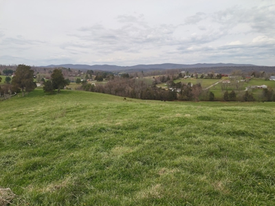Farm for sale Wythe County, VA - image 13