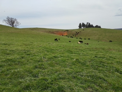 Farm for sale Wythe County, VA - image 5
