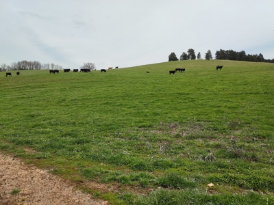 Farm for sale Wythe County, VA - image 3