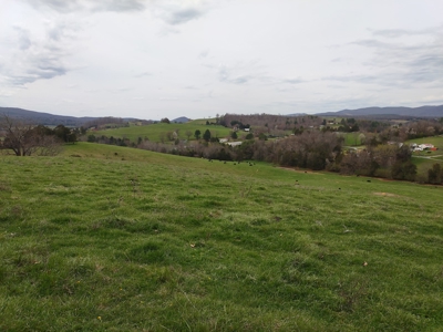 Farm for sale Wythe County, VA - image 9