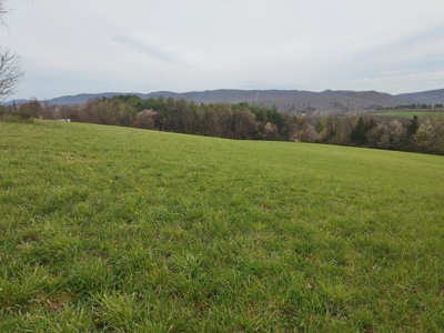 Farm for sale Wythe County, VA - image 12
