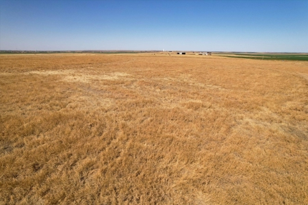 160 Acres with Barndominium- Kiowa County, Oklahoma - image 19