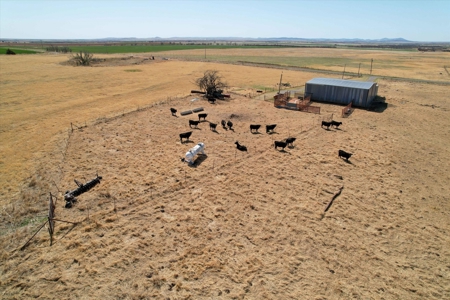 160 Acres with Barndominium- Kiowa County, Oklahoma - image 5