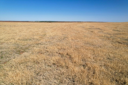 160 Acres with Barndominium- Kiowa County, Oklahoma - image 21