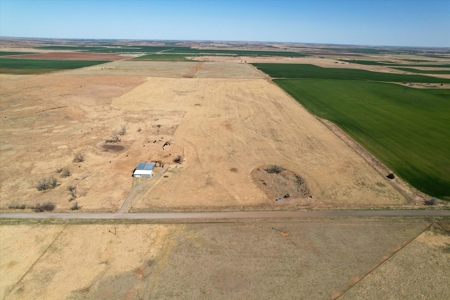 160 Acres with Barndominium- Kiowa County, Oklahoma - image 13