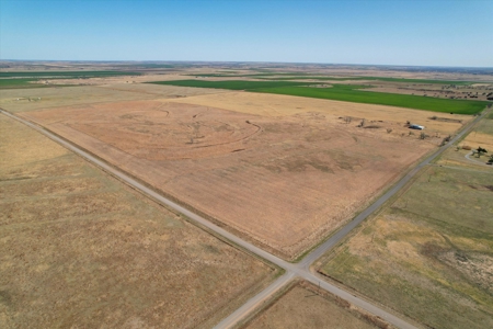 160 Acres with Barndominium- Kiowa County, Oklahoma - image 2