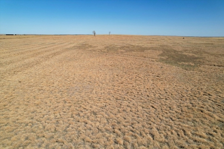 160 Acres with Barndominium- Kiowa County, Oklahoma - image 15