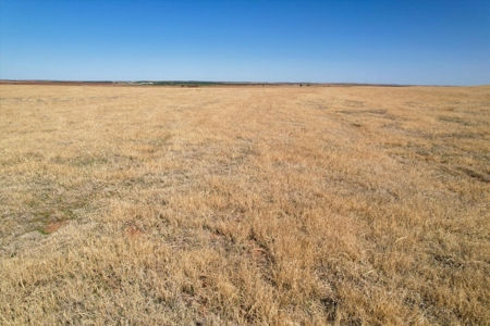 160 Acres with Barndominium- Kiowa County, Oklahoma - image 16