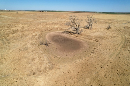 160 Acres with Barndominium- Kiowa County, Oklahoma - image 12