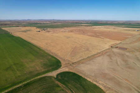 160 Acres with Barndominium- Kiowa County, Oklahoma - image 9