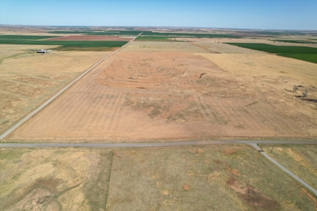 160 Acres with Barndominium- Kiowa County, Oklahoma - image 14