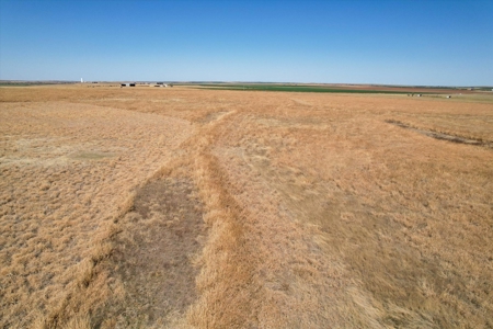 160 Acres with Barndominium- Kiowa County, Oklahoma - image 17