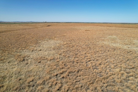 160 Acres with Barndominium- Kiowa County, Oklahoma - image 18