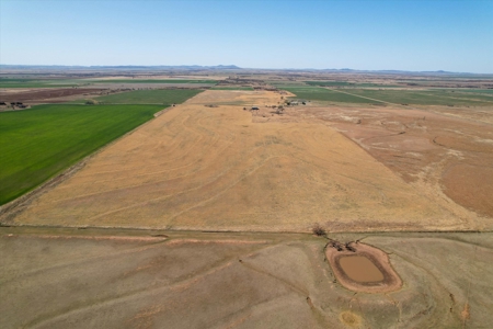160 Acres with Barndominium- Kiowa County, Oklahoma - image 8
