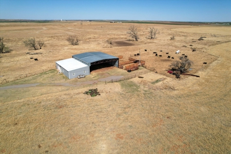 160 Acres with Barndominium- Kiowa County, Oklahoma - image 20