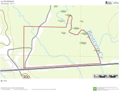 107 Acres Hunting Land for Sale in Amite County, MS - image 37