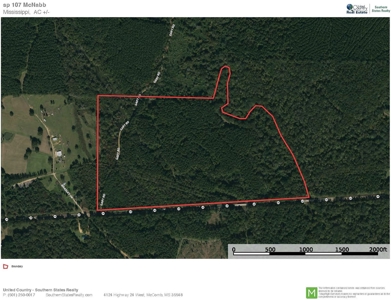 107 Acres Hunting Land for Sale in Amite County, MS - image 35