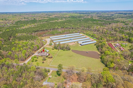 Breeder Farm in Chatham County! - image 5