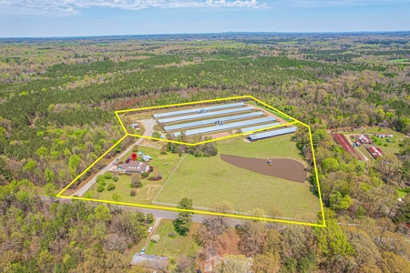 Breeder Farm in Chatham County! - image 6