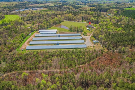 Breeder Farm in Chatham County! - image 4