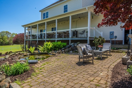 Breeder Farm in Chatham County! - image 27