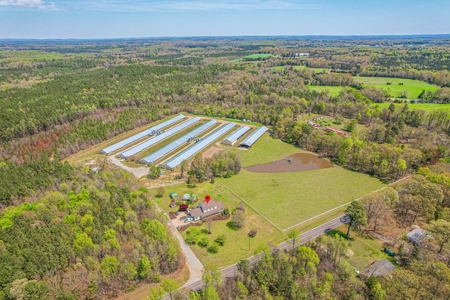 Breeder Farm in Chatham County! - image 7