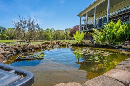 Breeder Farm in Chatham County! - image 25