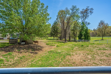 Breeder Farm in Chatham County! - image 23