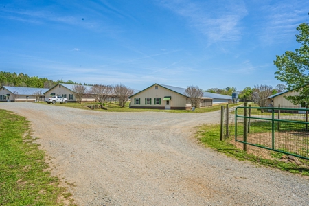 Breeder Farm in Chatham County! - image 21