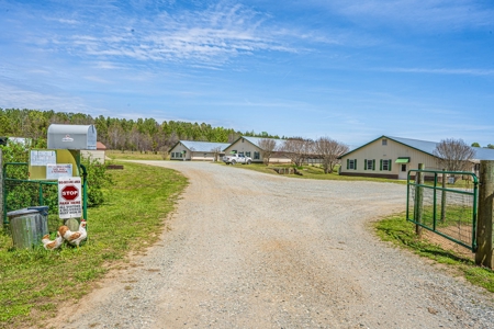 Breeder Farm in Chatham County! - image 24