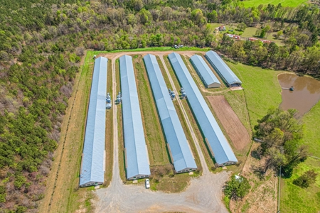 Breeder Farm in Chatham County! - image 1
