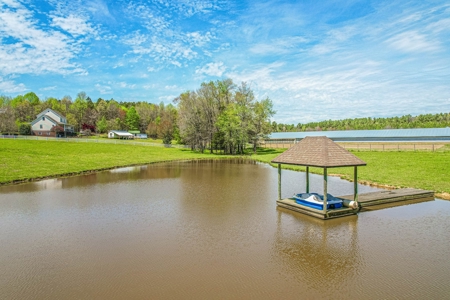 Breeder Farm in Chatham County! - image 8