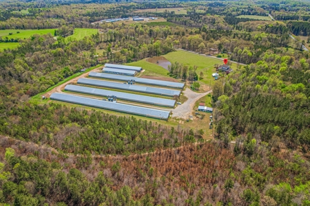 Breeder Farm in Chatham County! - image 3