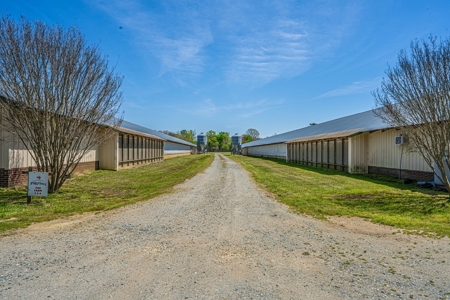 Breeder Farm in Chatham County! - image 22