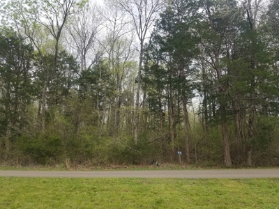 For Sale .3 Acr Land Near Tn River Clifton Riverstone Marina - image 1