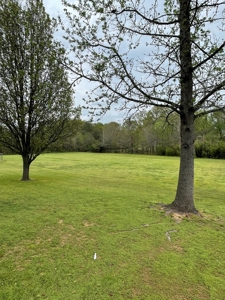 Countryside Home With Big Yard In Southeastern Oklahoma - image 25
