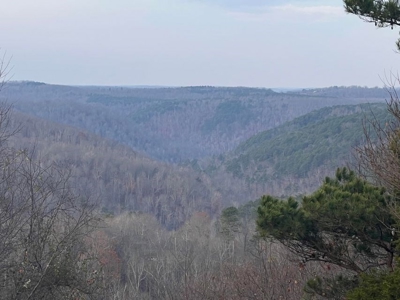 Land For Sale Bordering Ozark National Forest - image 7