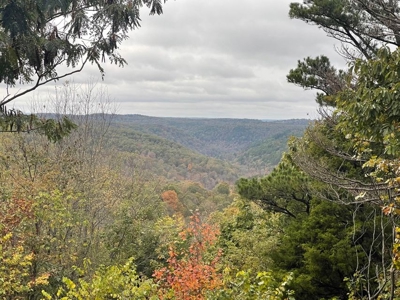Land For Sale Bordering Ozark National Forest - image 2