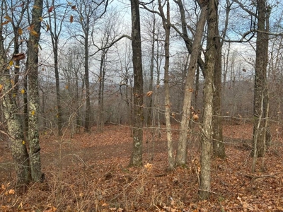 Land For Sale Bordering Ozark National Forest - image 5