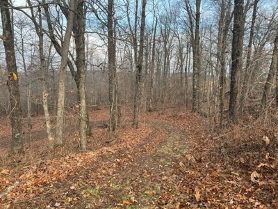 Land For Sale Bordering Ozark National Forest - image 4