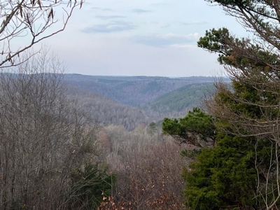 Land For Sale Bordering Ozark National Forest - image 6