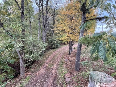 Land For Sale Bordering Ozark National Forest - image 3